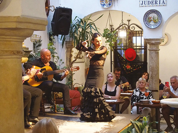 Siviglia, spettacolo di Flamenco 