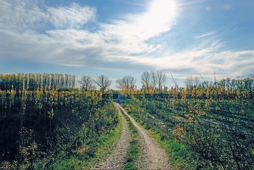 Nei pressi del fiume Po a Mantova 