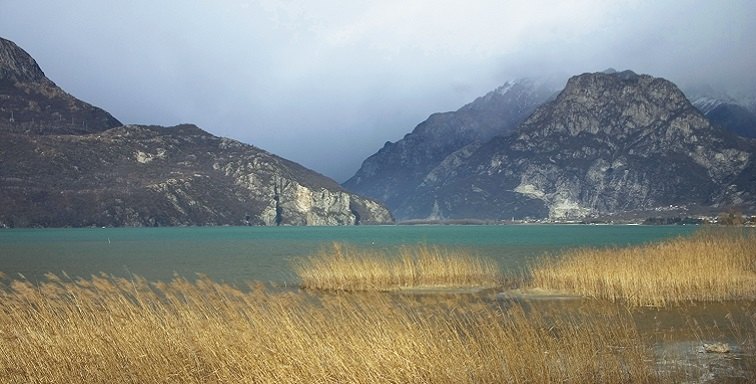 Transizione Energetica e competitività