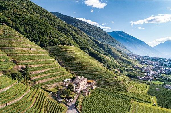 Vigneti della Valtellina - @inLombardia 