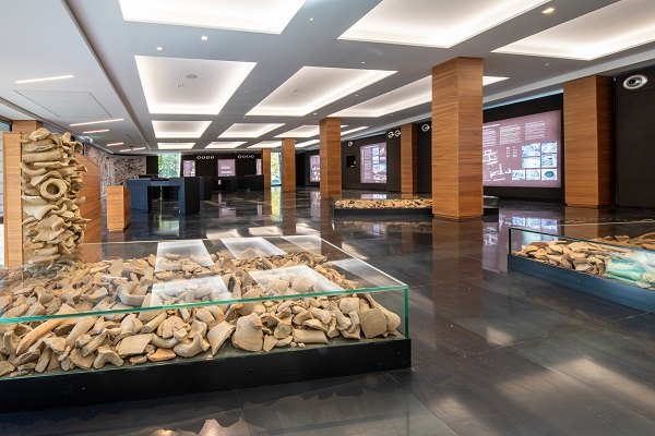 Area megalitica Saint-Martin-de-Corléans Aosta - © Enrico Romanzi 