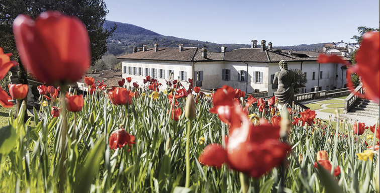 La primavera del FAI
