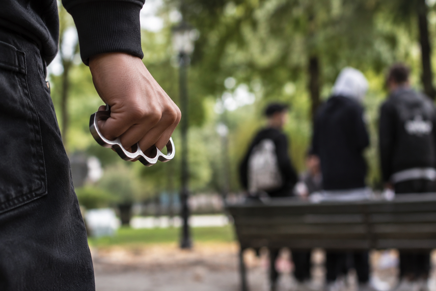 Tirapugni in un parco pubblico, immagine AI 