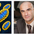 Immagine mitocondri aperti e a destra il Prof. Pierangelo Metrangolo 
