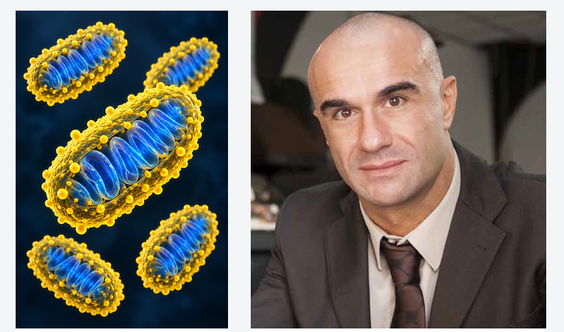 Immagine mitocondri aperti e a destra il Prof. Pierangelo Metrangolo 