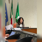 Patrizia Baffi in commissione Sanità 