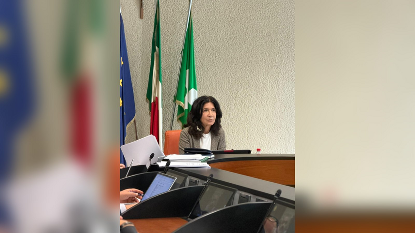 Patrizia Baffi in commissione Sanità 