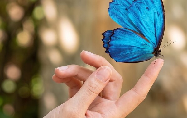 Counseling e disabilità: come supportare la famiglia quando c'è una patologia rara